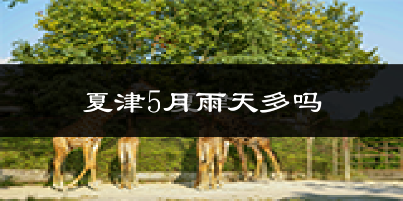 夏津5月雨天多吗?