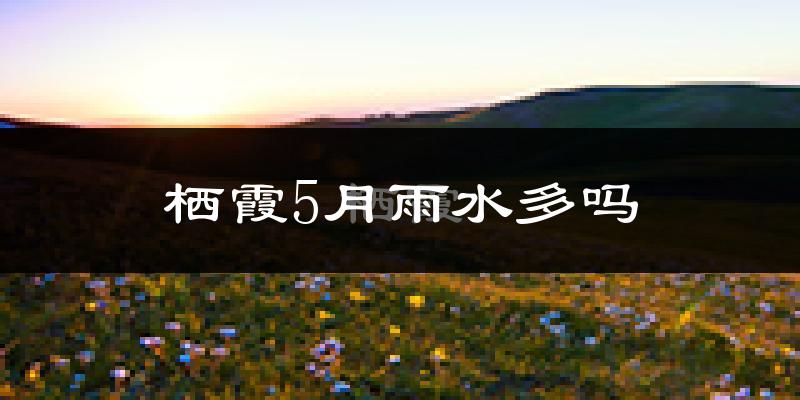 栖霞5月雨水多吗?