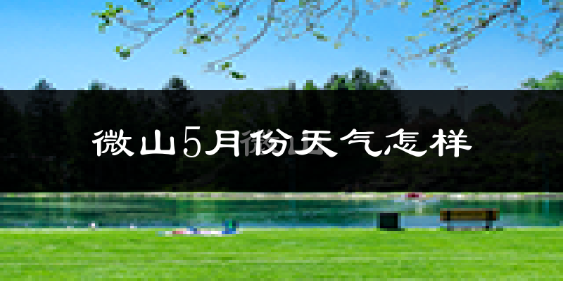 微山县5月份天气如何?很热吗?