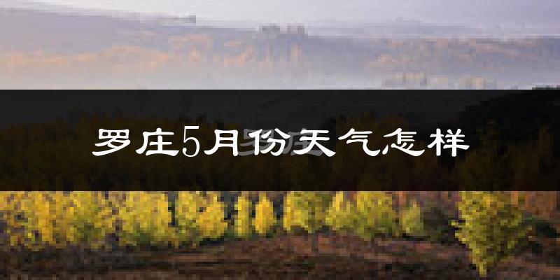 罗庄5月份天气怎样?罗庄五月冷吗?