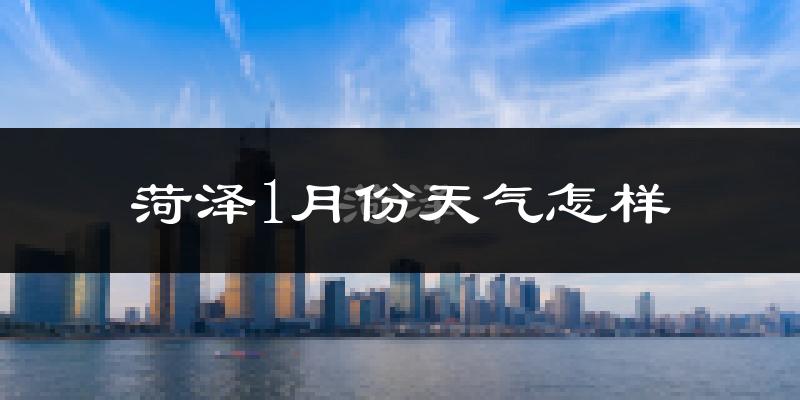 菏泽市1月份天气如何?很冷吗?