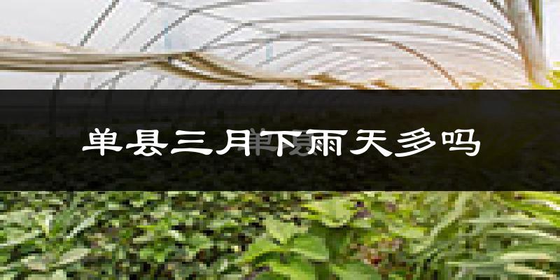 单县三月下雨天多吗?单县3月份降雨量多少?