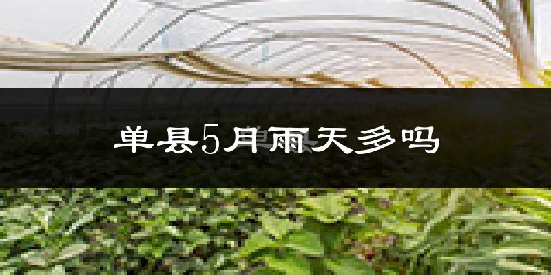 单县5月雨天多吗?