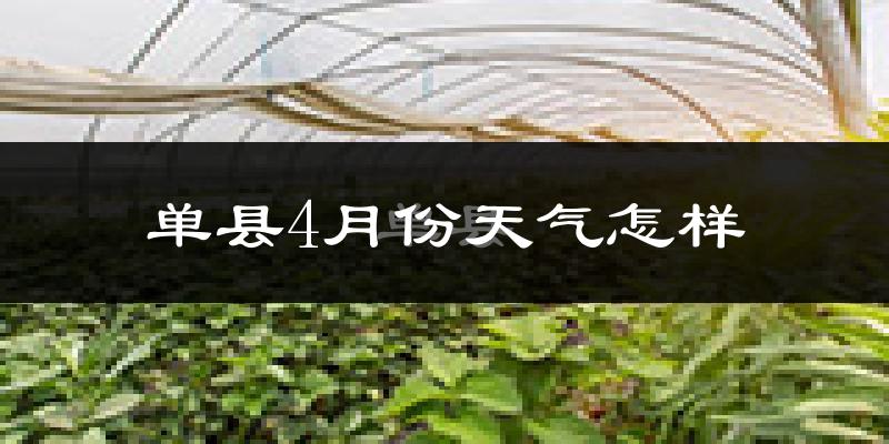 单县4月份天气如何?冷热情况怎么样?