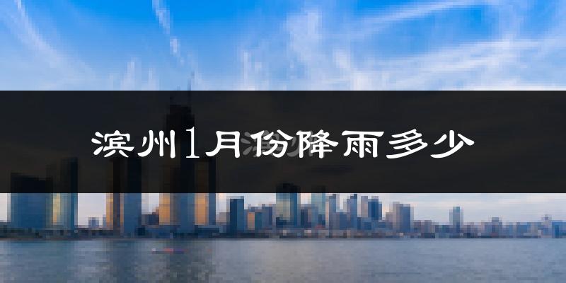 滨州1月份降雨多少?
