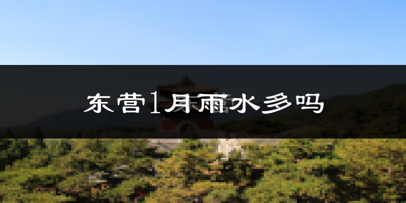 东营1月雨水多吗?