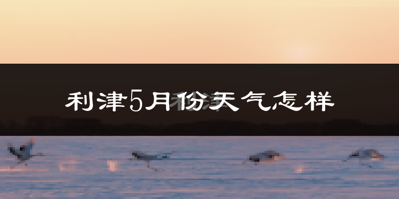 利津县5月份天气如何?很热吗?