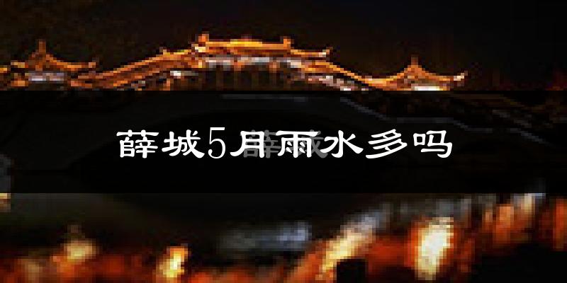 薛城5月雨水多吗?