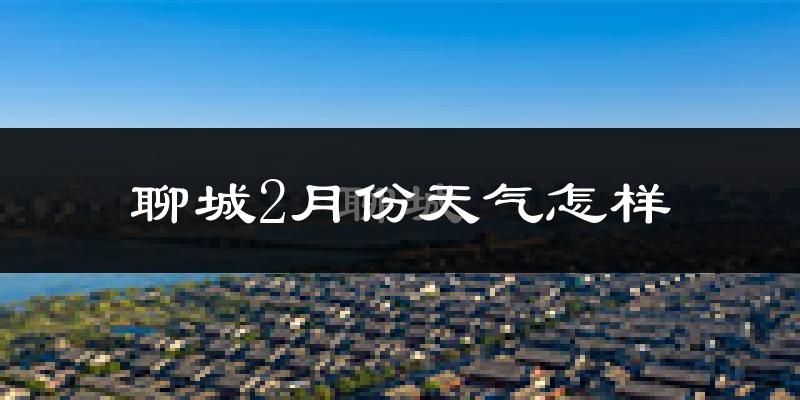 聊城市2月份天气如何?冷吗?