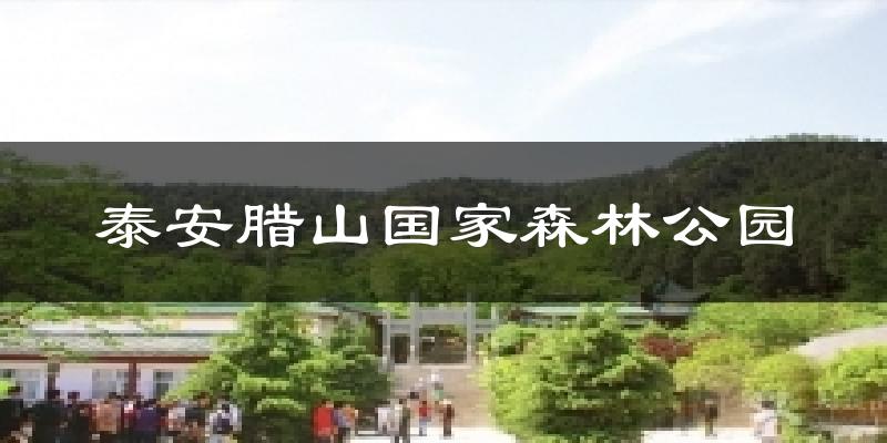 泰安腊山国家森林公园天气预报十五天