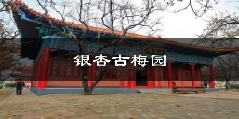 银杏古梅园天气预报十五天