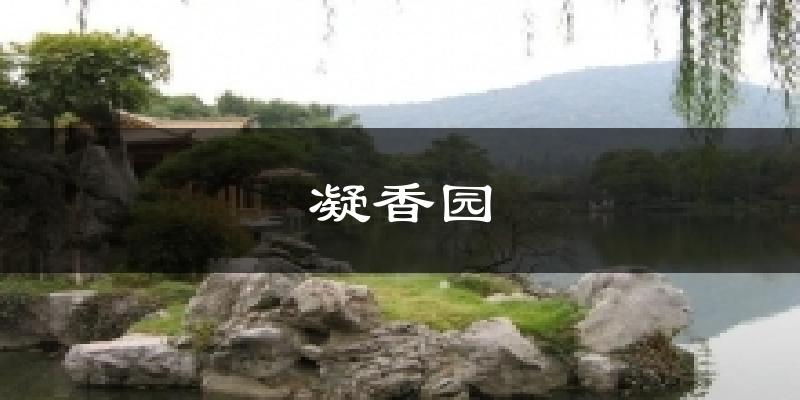 凝香园天气预报十五天