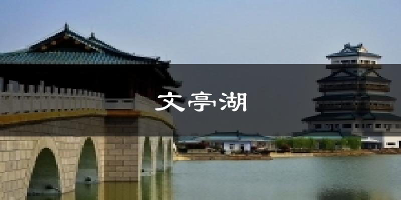 文亭湖天气预报十五天