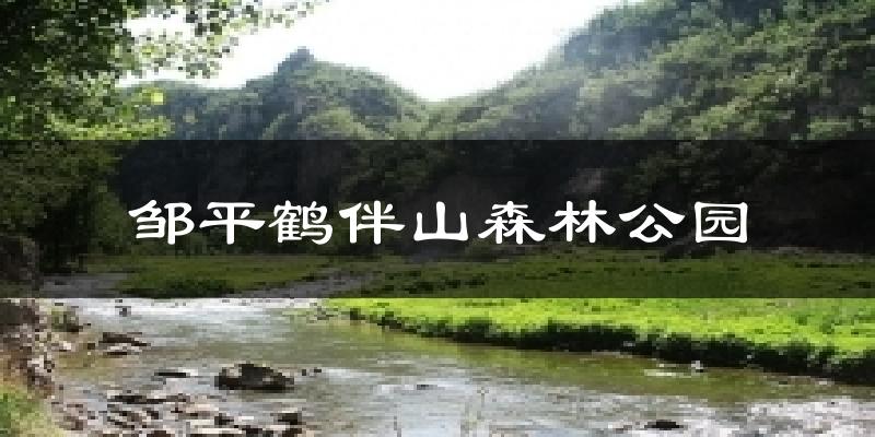 邹平鹤伴山森林公园天气预报十五天