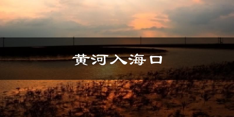 黄河入海口天气预报十五天