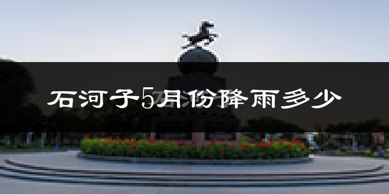 石河子5月份降雨多少?