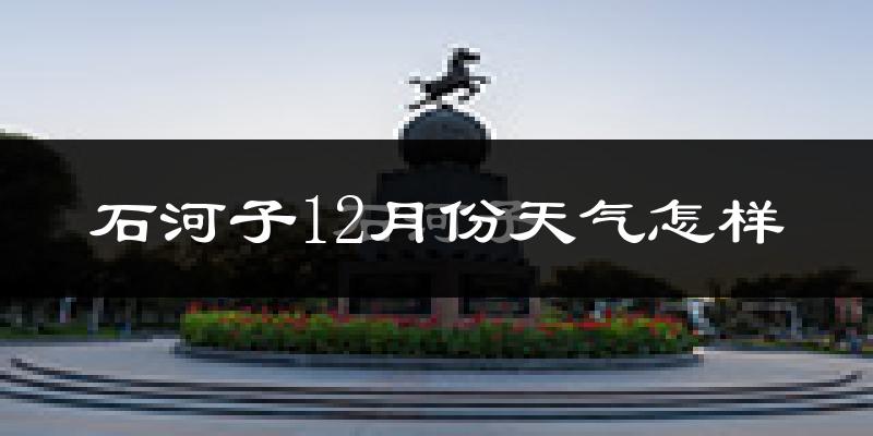 石河子12月份天气怎样?石河子十二月冷不冷?
