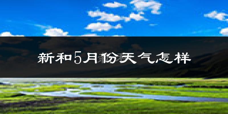新和县5月份天气如何?很热吗?