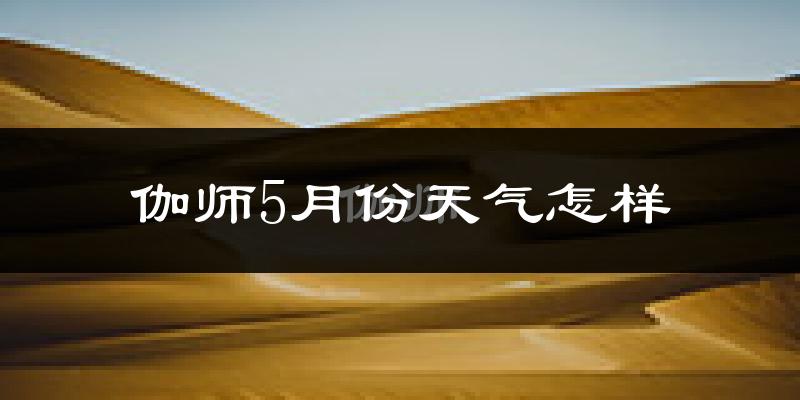 新疆伽师县5月份天气如何?很热吗?