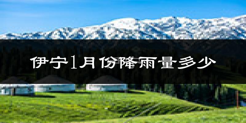 伊宁1月份降雨量多少?伊宁一月下雨多吗?