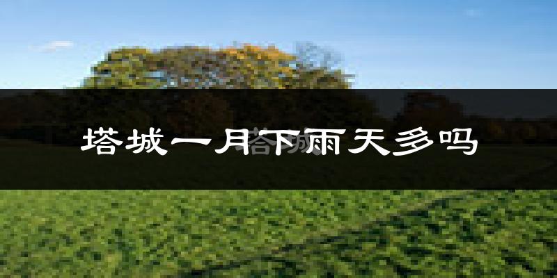 塔城一月下雨天多吗?塔城1月份降雨量多少?