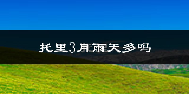 托里3月雨天多吗?