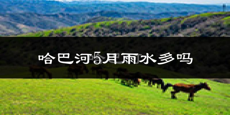 哈巴河5月雨水多吗?