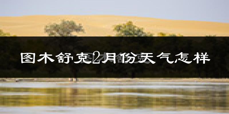 图木舒克市2月份天气如何?很冷吗?