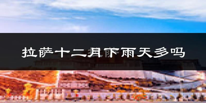 拉萨十二月下雨天多吗?拉萨12月份降雨量多少?