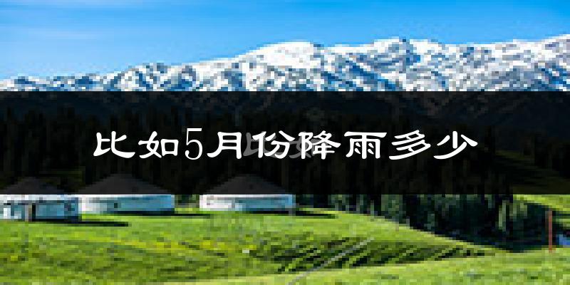 比如5月份降雨多少?