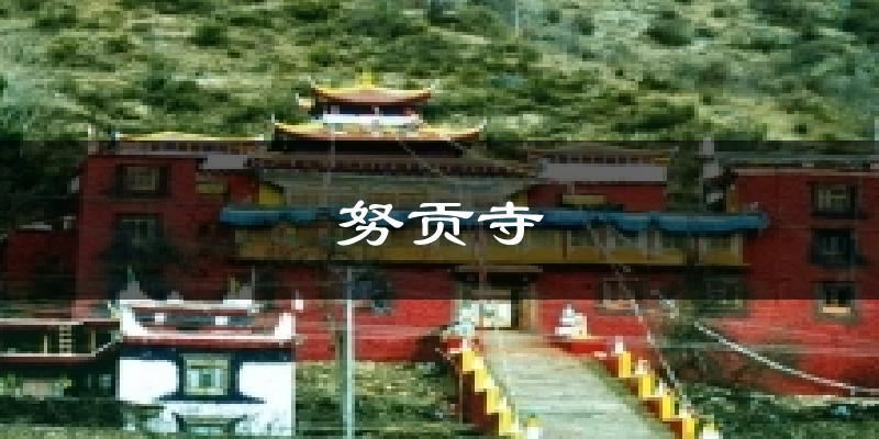 努贡寺天气预报十五天