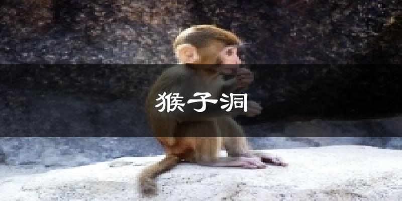 猴子洞天气预报十五天