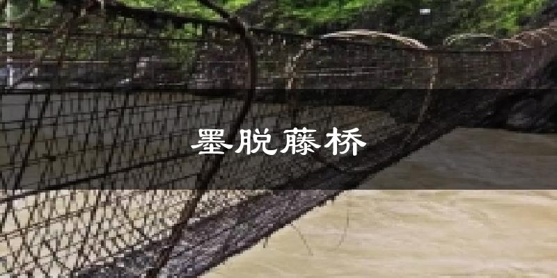 墨脱藤桥天气预报十五天