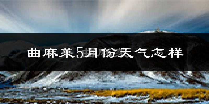 曲麻莱县5月天气如何?很冷吗?