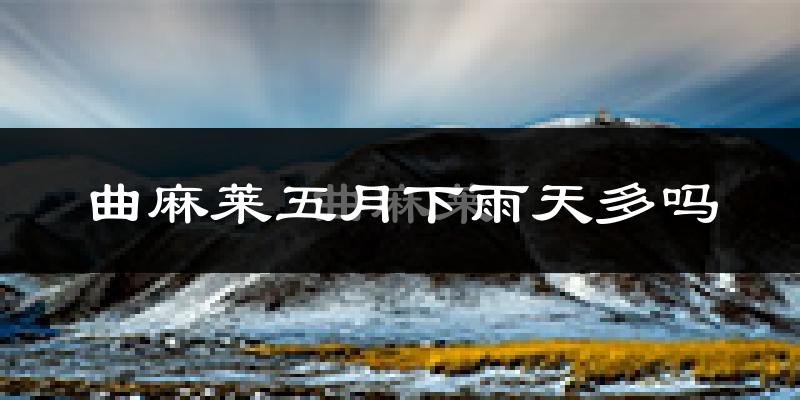 曲麻莱五月下雨天多吗?曲麻莱5月份降雨量多少?