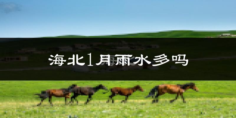 海北1月雨水多吗?