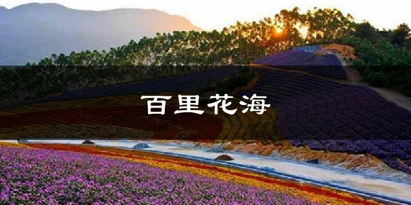 百里花海天气预报十五天