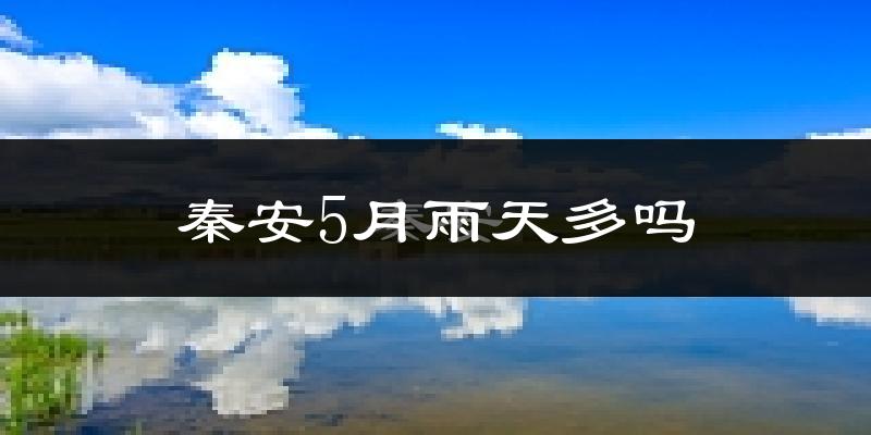 秦安5月雨天多吗?