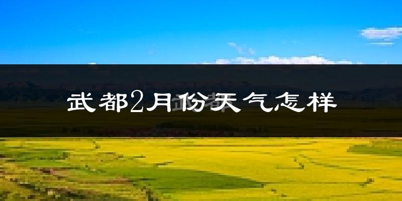 武都2月份天气怎样?武都二月冷吗?
