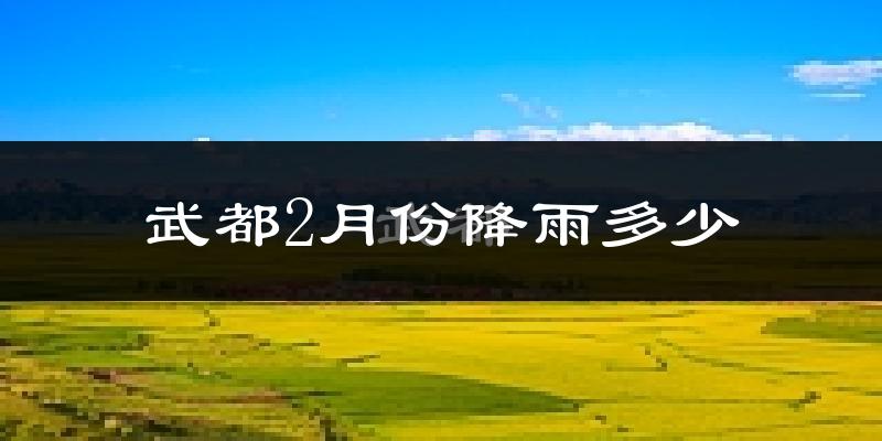 武都2月份降雨多少?