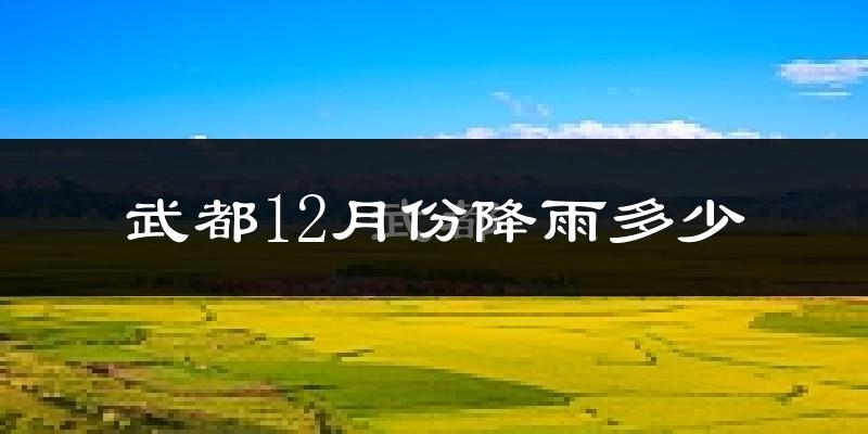武都12月份降雨多少?