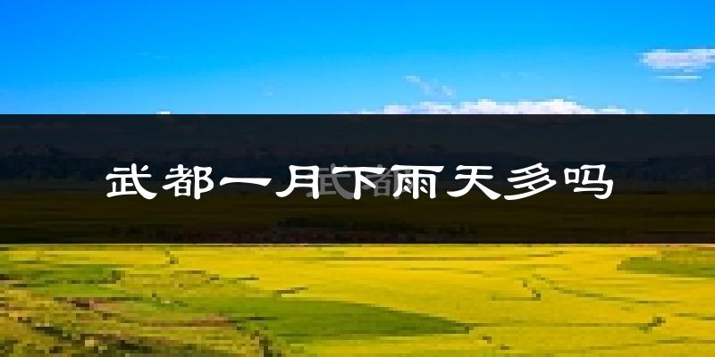 武都一月下雨天多吗?武都1月份降雨量多少?