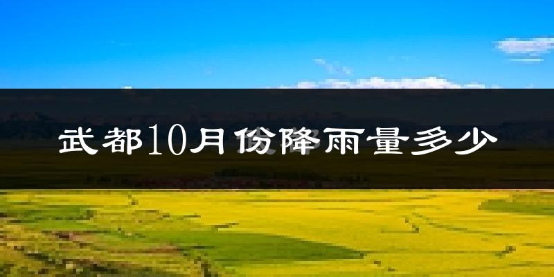 武都10月份降雨量多少?武都十月下雨多吗?