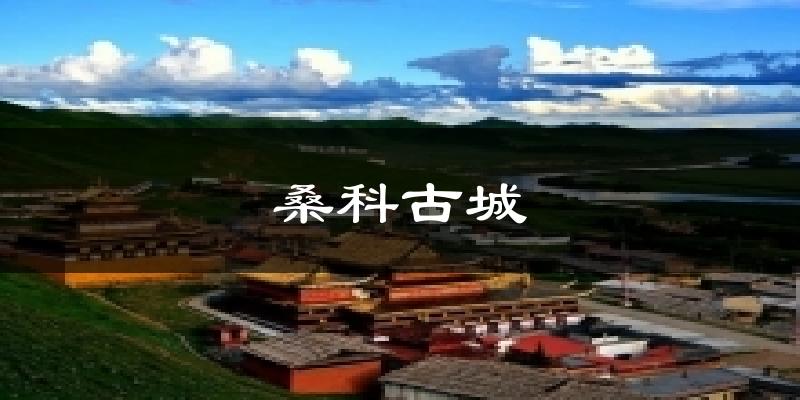 桑科古城天气预报十五天
