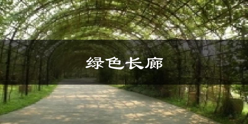 绿色长廊天气预报十五天