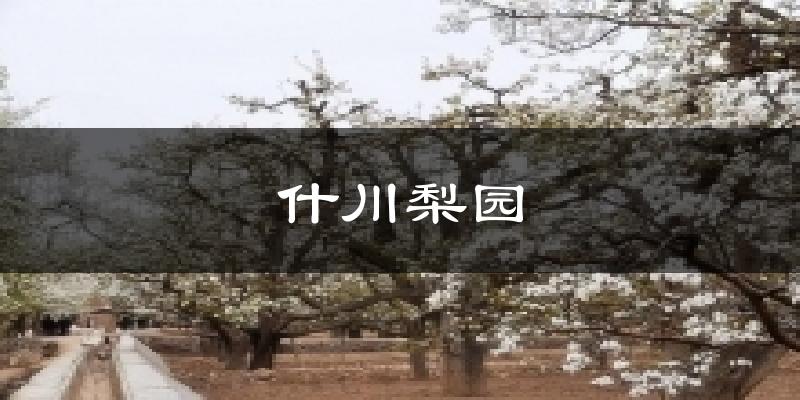 什川梨园天气预报十五天
