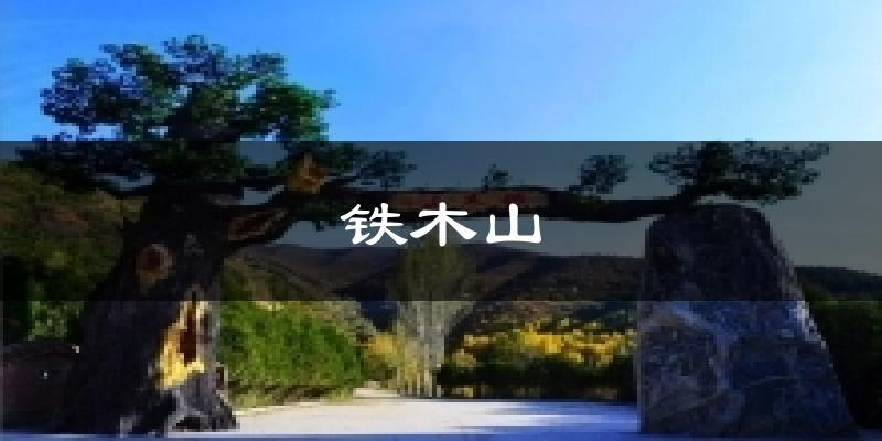 铁木山天气预报十五天