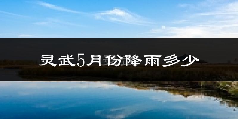 灵武5月份降雨多少?