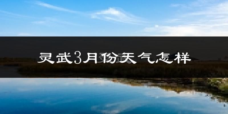 灵武市3月份天气如何?冷吗?过去两年天气数据分析