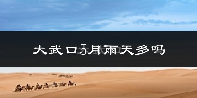 大武口5月雨天多吗?